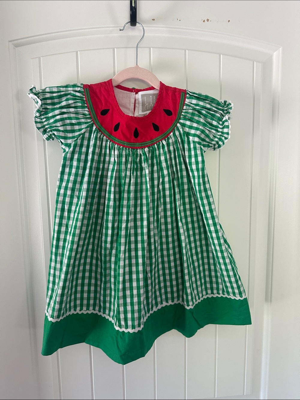 Lil Cactus Green Gingham Dress with Red Watermelon yoke
